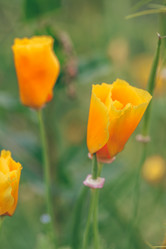 Similar image 21564435