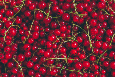 Similar image 21564438