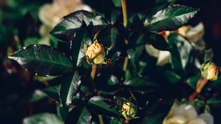 Similar image 21580971