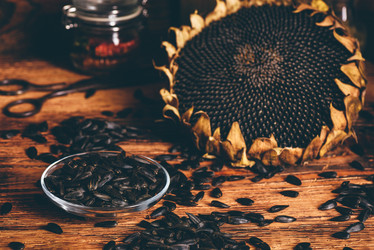 Similar image 21580980