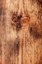 Similar image 21580985