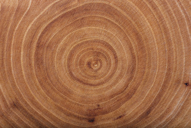 Similar image 21581143