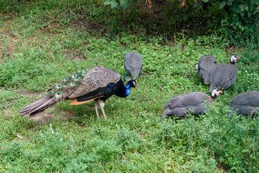 Similar image 21581152