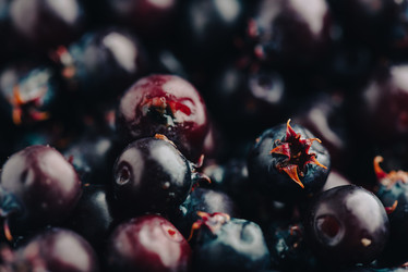 Similar image 21581254