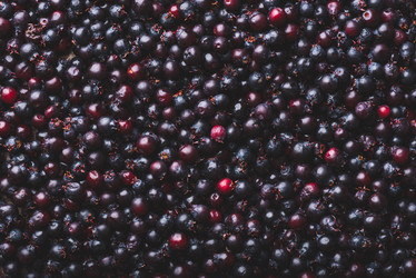 Similar image 21581259