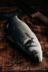 Similar image 21581337