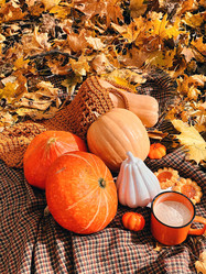 Similar image 21630145