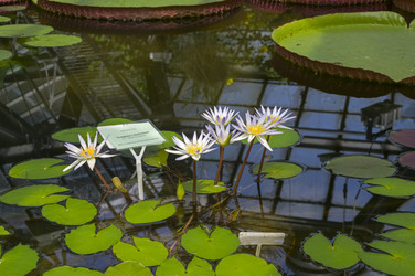 Similar image 21608507