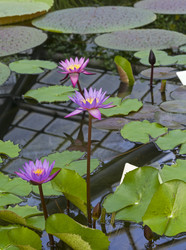 Similar image 21608508