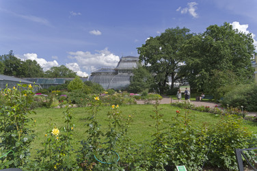 Similar image 21608509