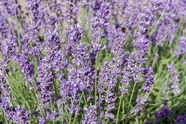 Similar image 21608510