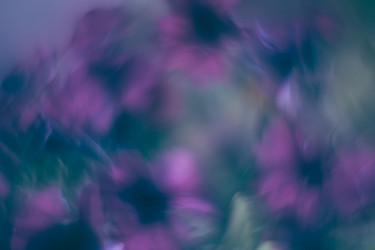 Similar image 21608851