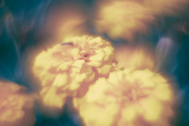 Similar image 21608852