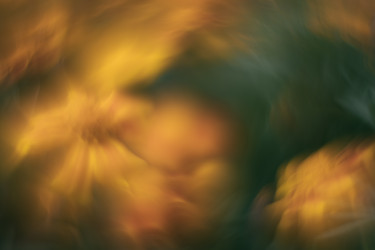 Similar image 21608855