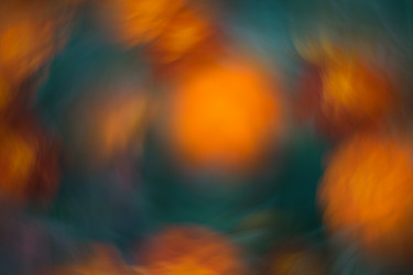 Similar image 21608856