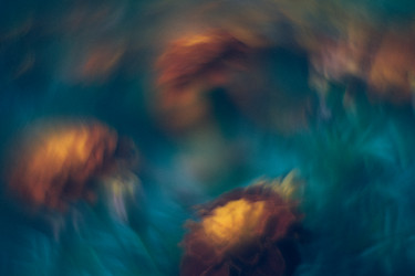 Similar image 21608857