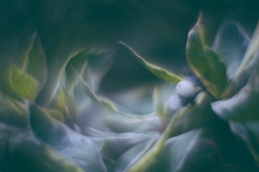 Similar image 21608858