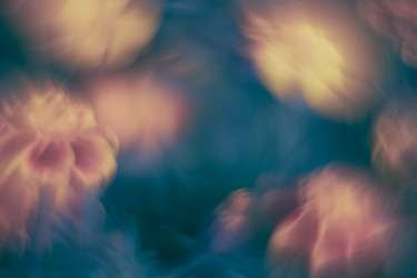 Similar image 21608859