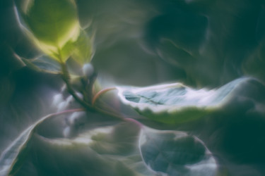 Similar image 21608860