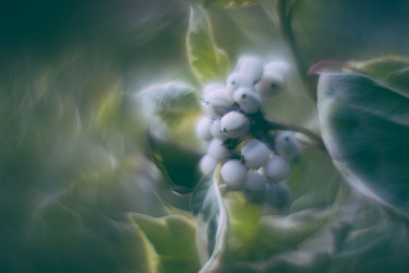 Similar image 21608861