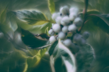 Similar image 21608862