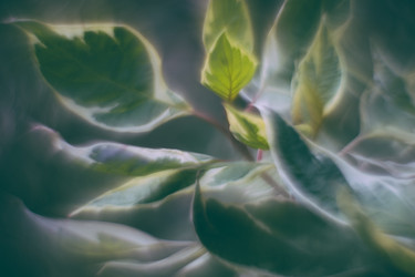 Similar image 21608863