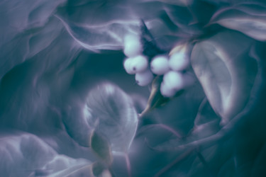 Similar image 21608865