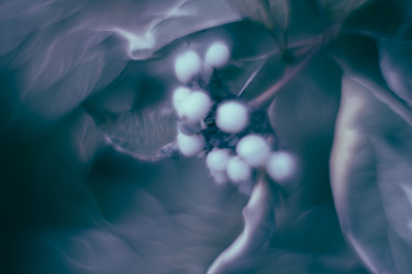 Similar image 21608866