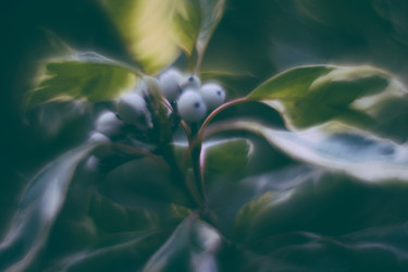 Similar image 21608867