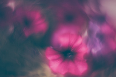 Similar image 21608870