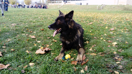 Similar image 21621920