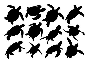 Similar image 21626527