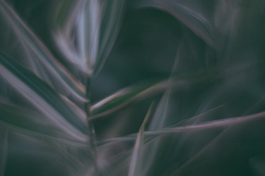 Similar image 21608871