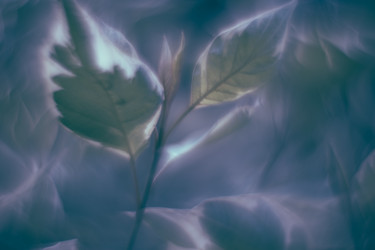 Similar image 21608872