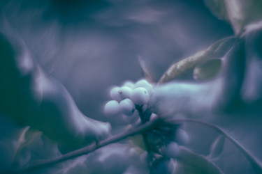 Similar image 21608873