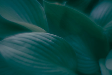 Similar image 21608874