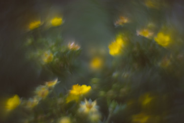 Similar image 21608903