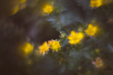 Similar image 21608904