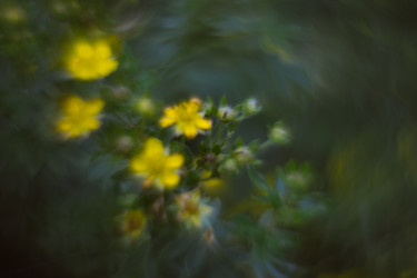 Similar image 21608905