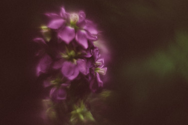 Similar image 21608906