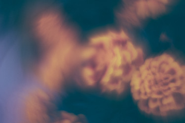 Similar image 21608907