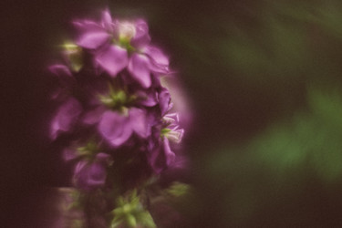 Similar image 21608908