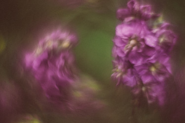 Similar image 21608910