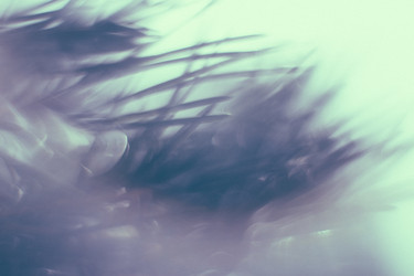 Similar image 21608911