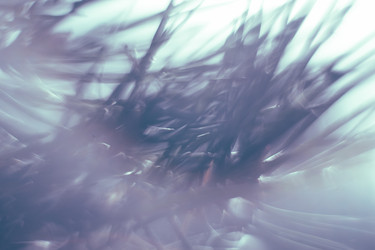 Similar image 21608912