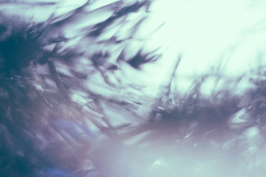 Similar image 21608913