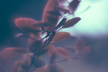 Similar image 21608914