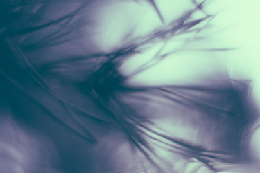 Similar image 21608915