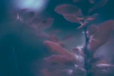 Similar image 21608916