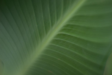 Similar image 21608917